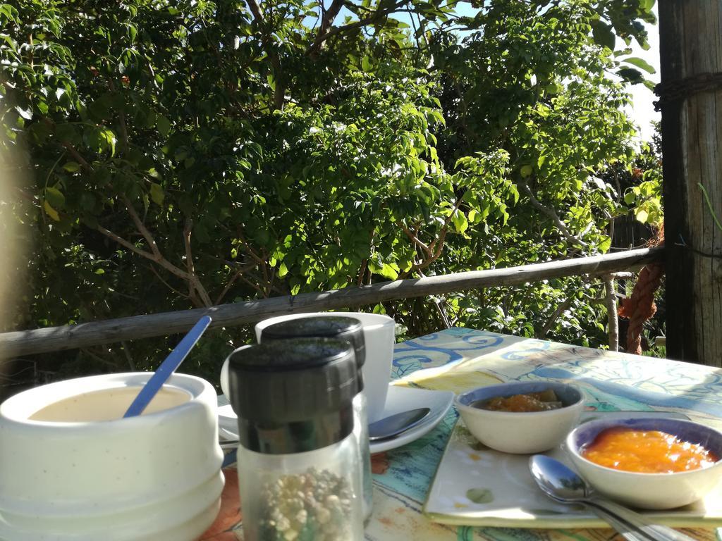 סנט פרנסיס ביי Sandriver Lodge מראה חיצוני תמונה